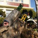 서창선초등학교 이미지