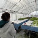 노암4리 이미지