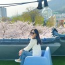 보보스카페 이미지
