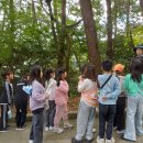 금정초등학교 뒤 이미지