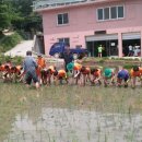 마을밥상협동조합 이미지