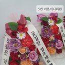 제이;나플랜트