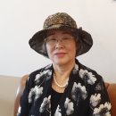 신순례 Daum카페