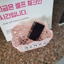델루와 | 동해 망상해수욕장 숙소 델루와망상호텔 숙박후기