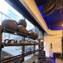 슬릭 교대캠프 이미지