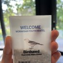 용지호스텔 | [월악산유스호스텔] 제천의 감성숙소 월악의 변천사 그 두번째 이야기