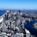 TL 동물병원 이미지