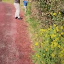 호텔 섬오름 이미지