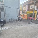 멍멍대학 | [내돈내산]하남시청역 애견미용 블루멍멍