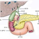 발효명가서초한의원 이미지