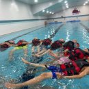 키즈웨일즈 이미지