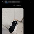 장유세탁 이미지