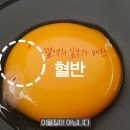 K밥상