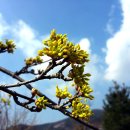 산내바람