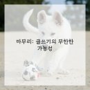 장르별 글쓰기(소설) 이미지