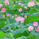 용성3길 이미지