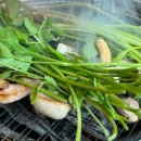 솔밭에온가마 이미지