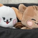 뮤지컬 알라딘 샤롯데씨어터 2/9 후기(1층 B구역 2열 15-16 시야/화장실/내돈내산)