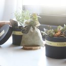 네오프라자 이미지