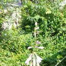 아산만로 이미지