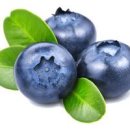 블루베리 효능 주스 부작용 냉동 칼로리는? 이미지