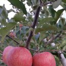 선바위농원 이미지