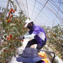 무진축산 이미지