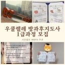 우쿨렐레지도자자격증과정 이미지