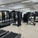 바디스케치