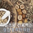 광진기전