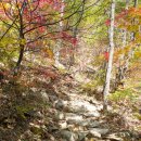 동학사약국 이미지