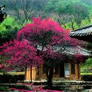 (주)아름다운강산 Daum카페