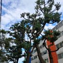 천주교 순례길 - 하논성당길 이미지