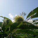 하이디펜션 이미지