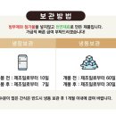 혼자멍냥 이미지