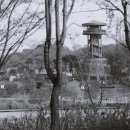 갤러리아백화점 사거리 네이버블로그