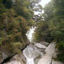 지리산향기