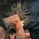 시안출판사