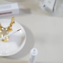 꾸꾸래쉬 이미지