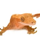 이수병원 이미지