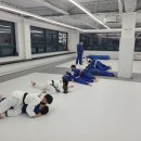 Dream of Judo 태평유도관 이미지