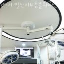 일산시티 동물의료센터 이미지