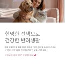 부자동물병원 이미지