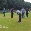 푸른잔디 이미지