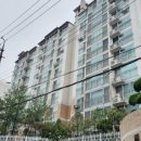 싼전수전 이미지