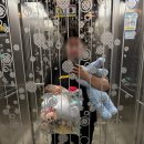 캐칭덕 오락실 이미지