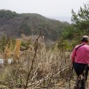 곡성-131 이미지