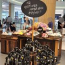 수어지 | 부산 롯데백화점 광복점 [러쉬-LUSH] 구입하기 (헤어/바디제품)