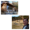 GR(영월군)-[영월로]-하-25 | 김삿갓유적지및 거주지. 문학관. 단풍산 솔나무 2025.12.27-30 ( 4 )