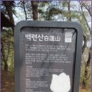 초록숲 이미지